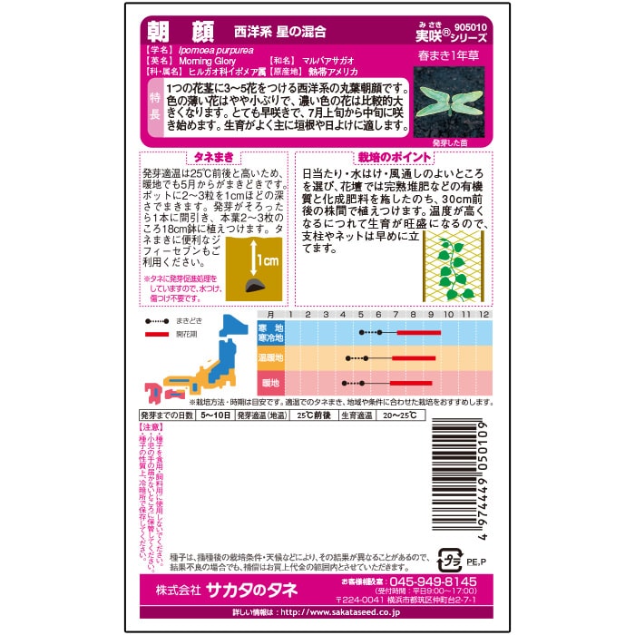 朝顔＿西洋系星の混合　春秋兼用