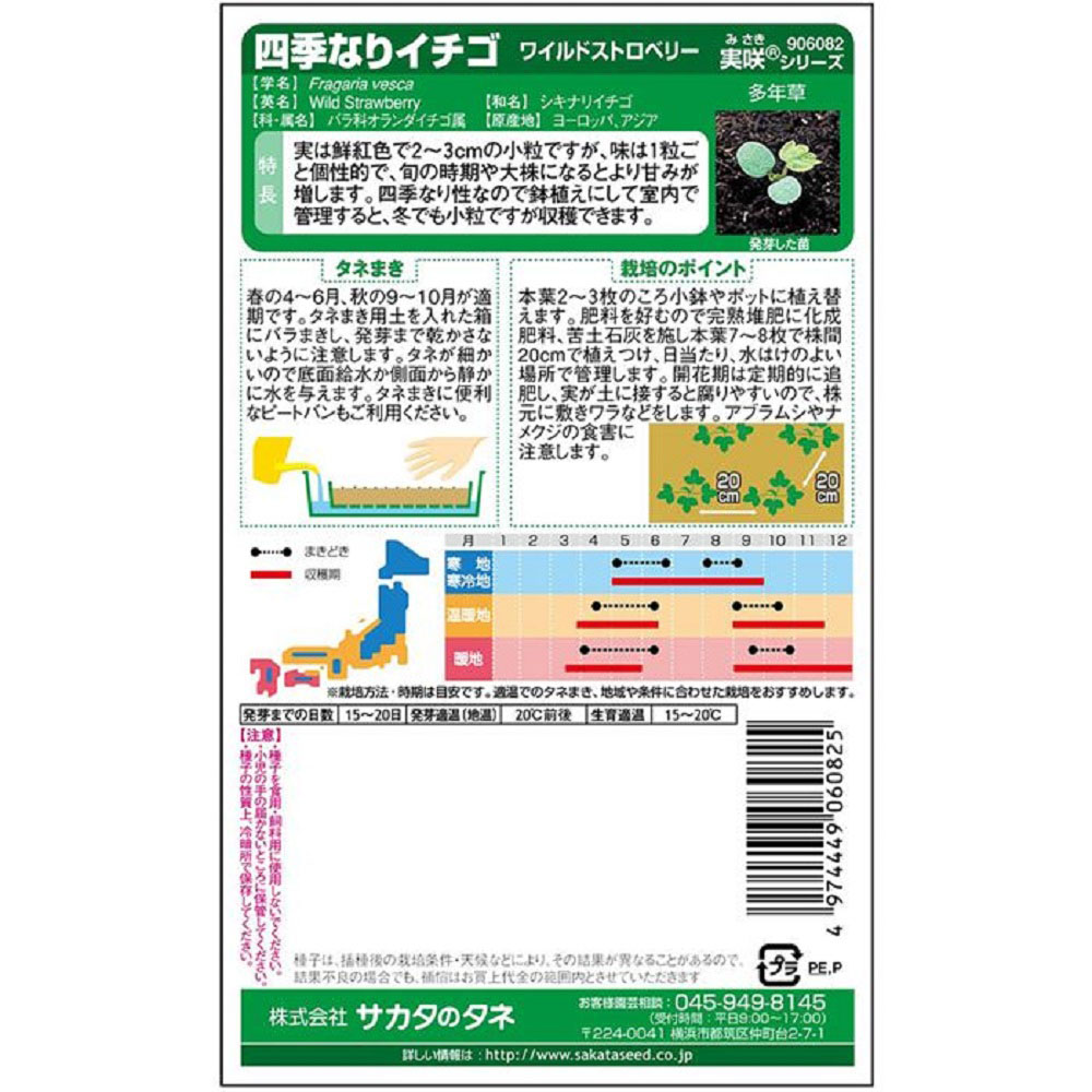 イチゴ_四季なりイチゴ_ワイルドストロベリー　春秋兼用