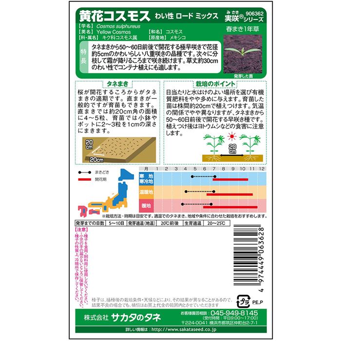 コスモス＿黄花コスモス＿わい性ロードミックス　春秋兼用