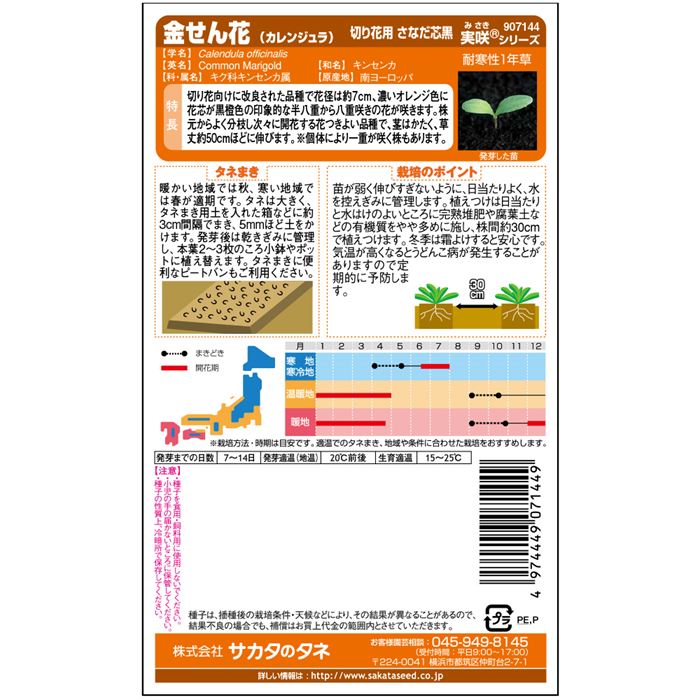 金せん花_切り花用さなだ芯黒　春秋兼用