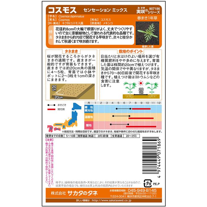 コスモス＿センセーションミックス　春秋兼用