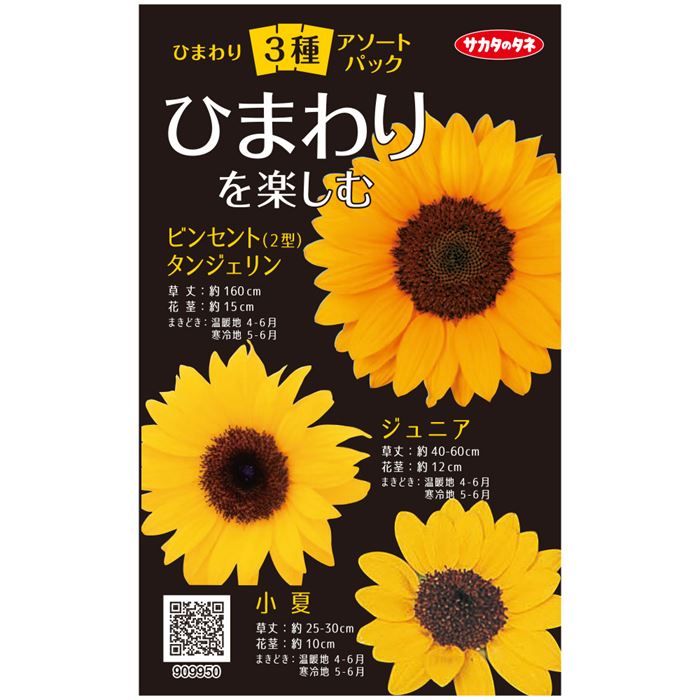 ひまわり＿ひまわり３種＿アソートパック　春秋兼用