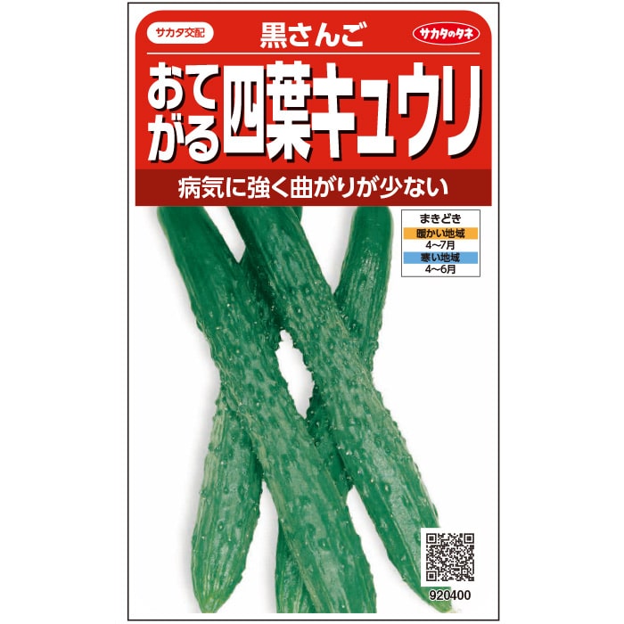 キュウリ＿おてがる四葉キュウリ＿黒さんご　春まき