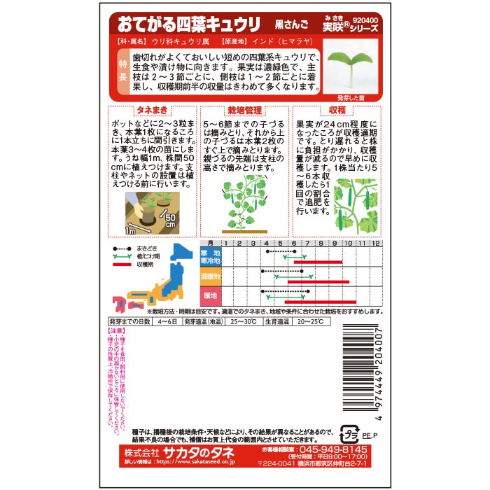 キュウリ＿おてがる四葉キュウリ＿黒さんご　春まき