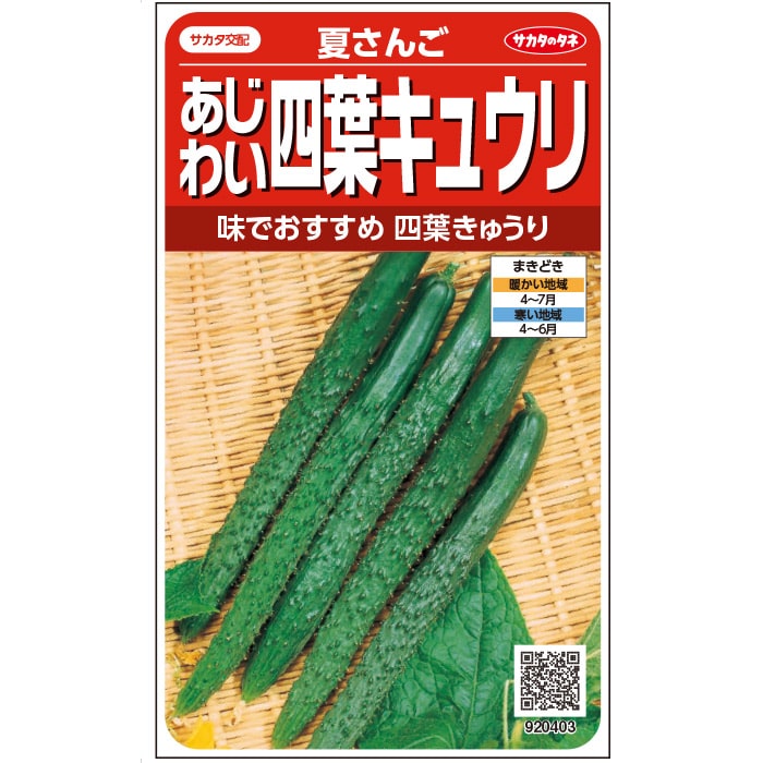 キュウリ＿あじわい四葉キュウリ＿夏さんご　春まき
