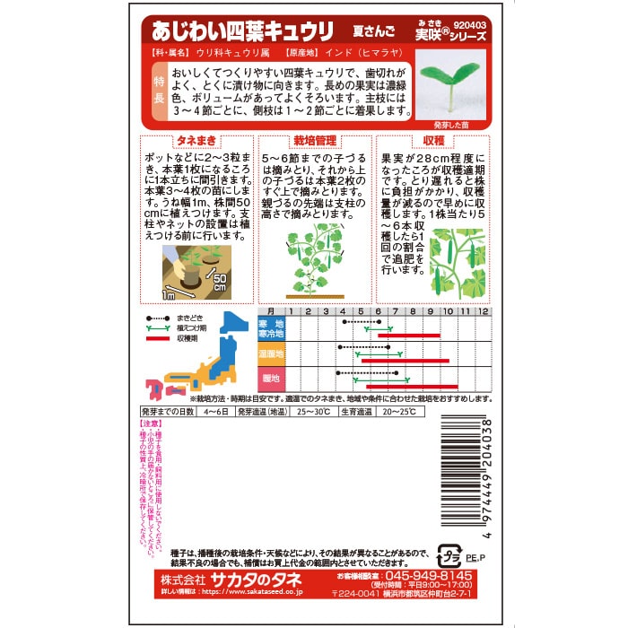 キュウリ＿あじわい四葉キュウリ＿夏さんご　春まき
