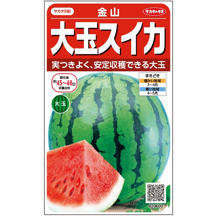 スイカ＿金山　春まき