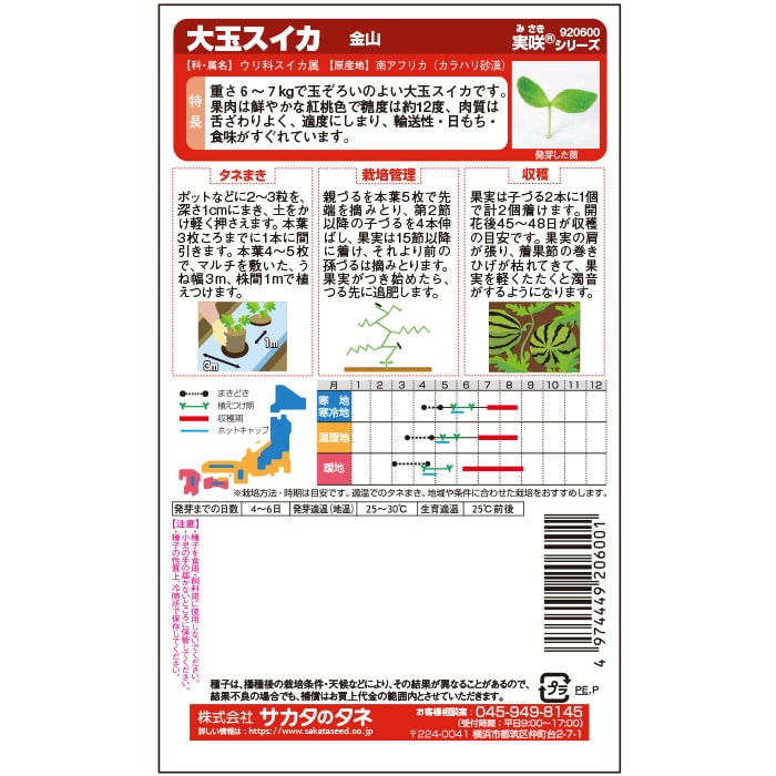 スイカ＿金山　春まき