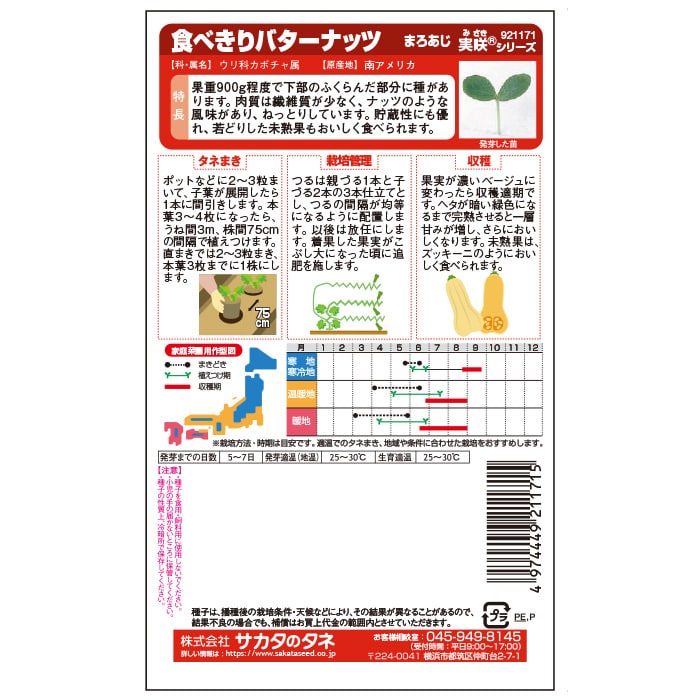 カボチャ＿バターナッツ＿食べきりバターナッツ　春まき