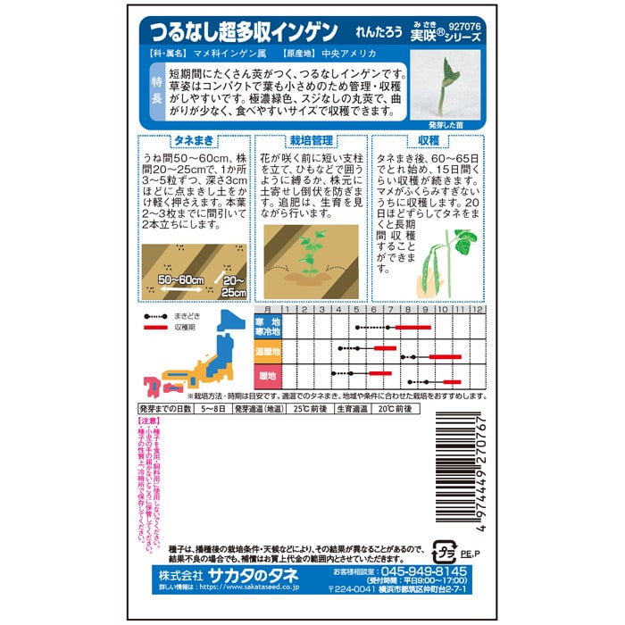 インゲン_れんたろう　春秋兼用