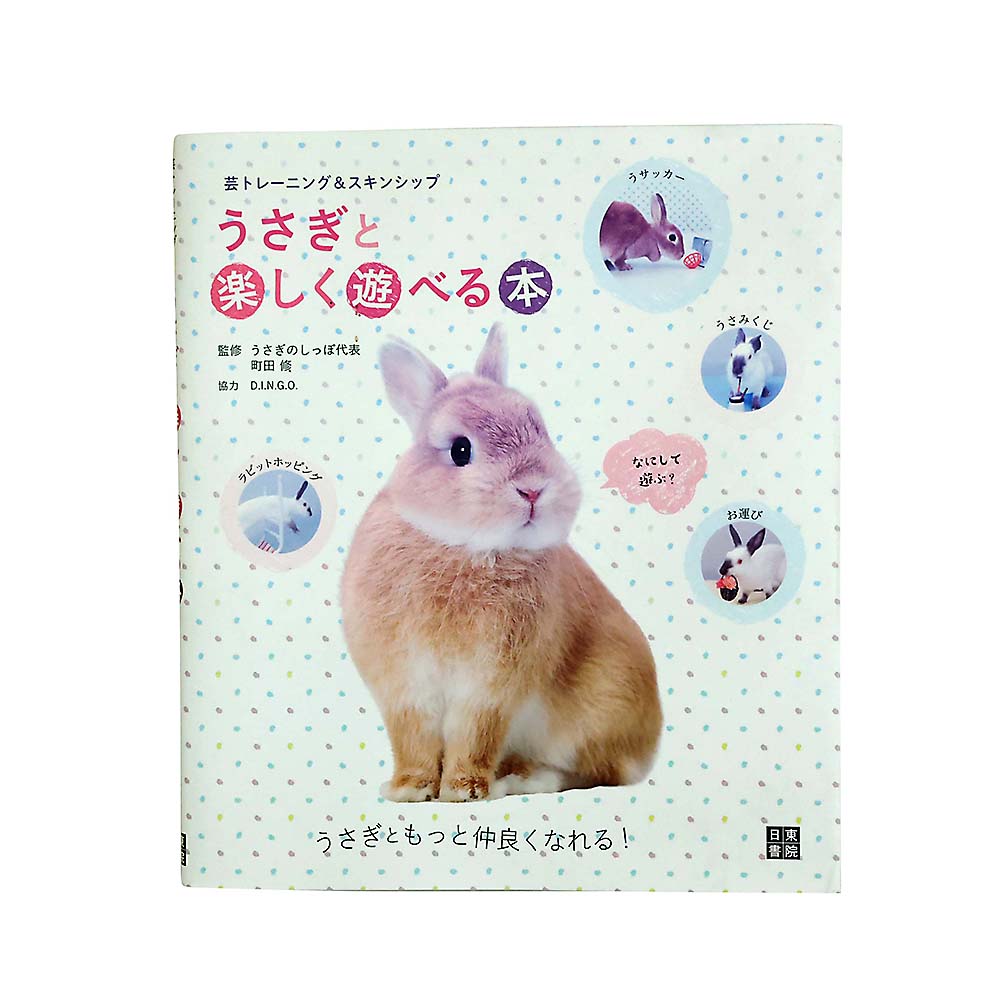 うさぎと楽しく遊べる本　日東書院本社