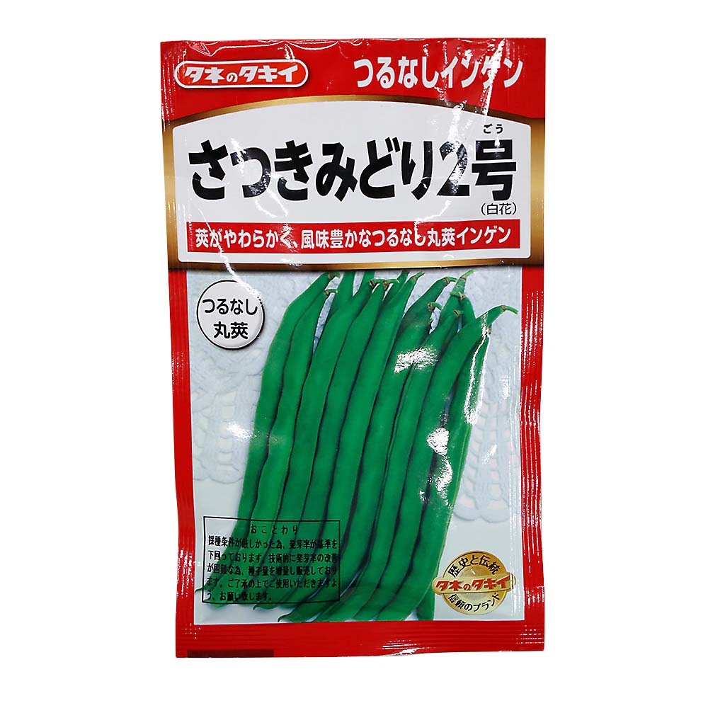さつきみどり2号つるなしインゲン　春まき