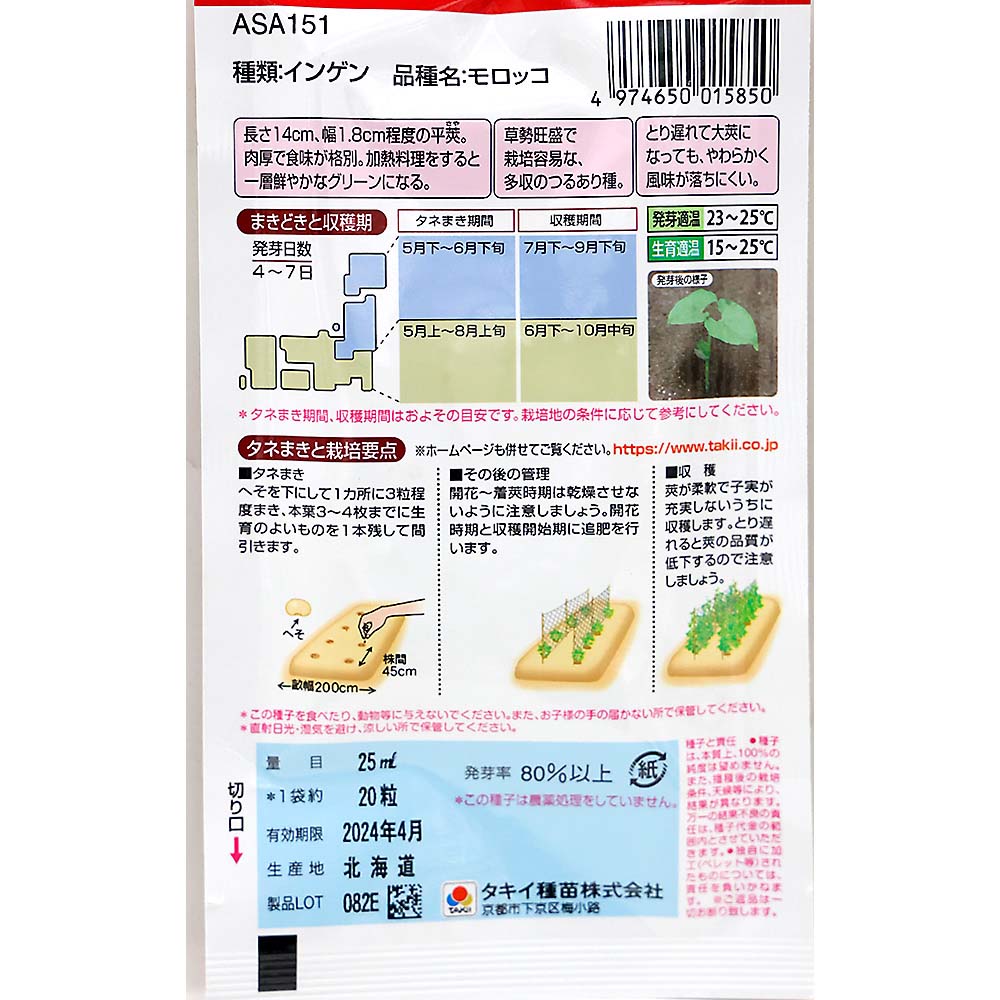 モロッコつるありインゲン　春まき