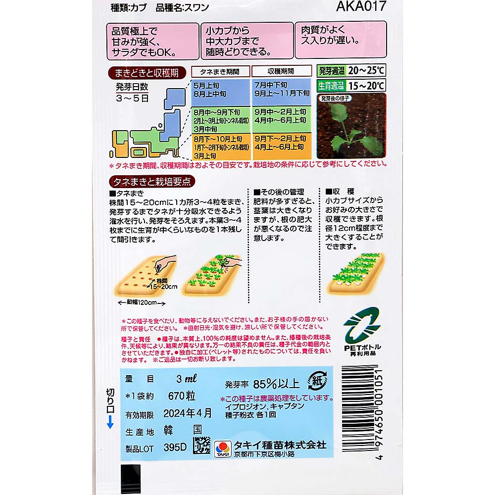 スワンかぶ　春秋兼用