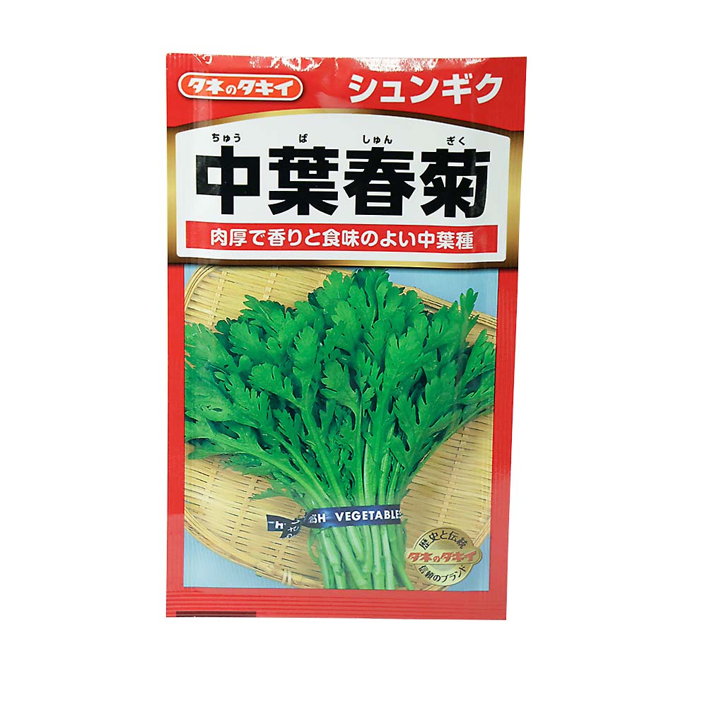 中葉春菊　春秋兼用