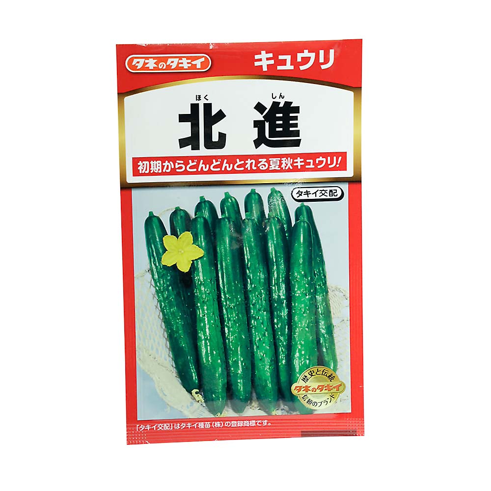 北進きゅうり　春まき