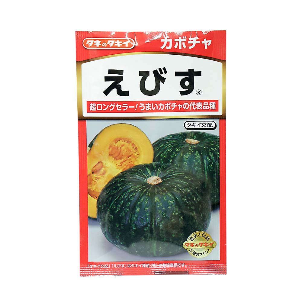 えびすかぼちゃ　春まき