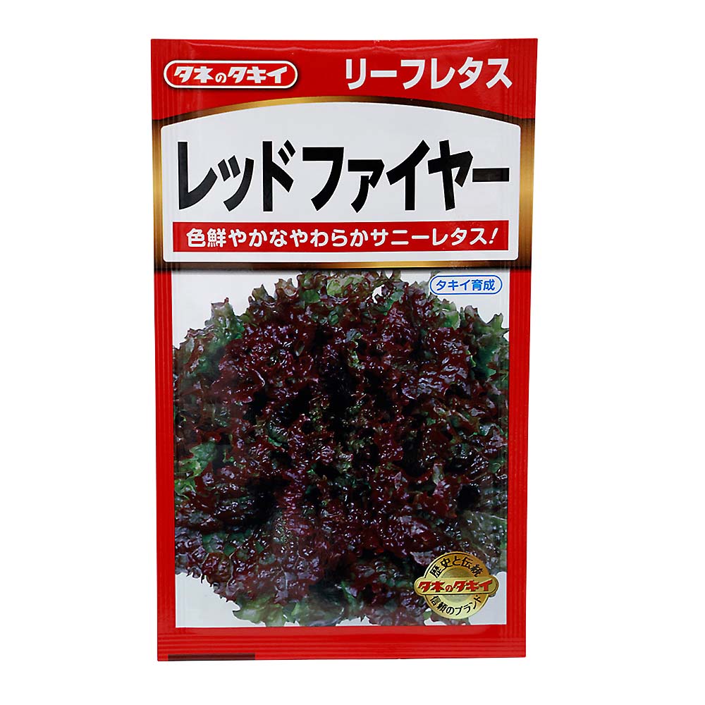 レッドファイヤー リーフレタス　春秋兼用