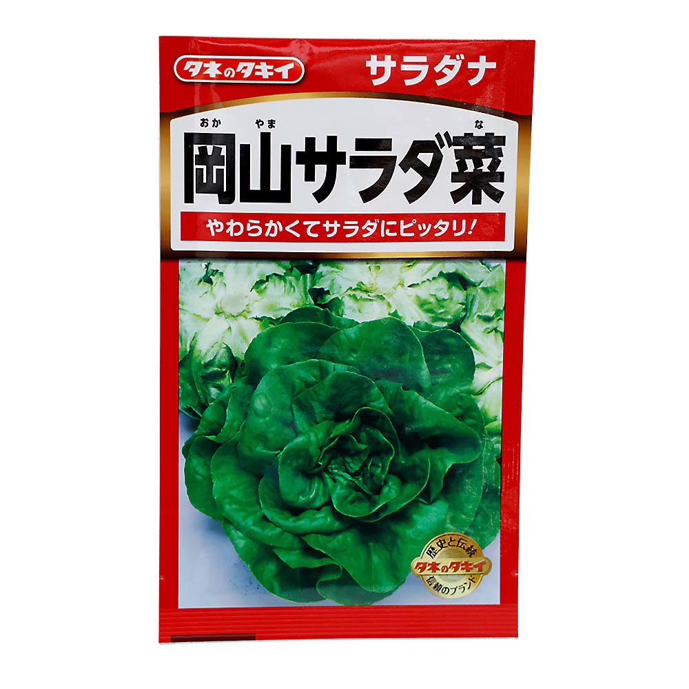 岡山サラダ菜　春秋兼用