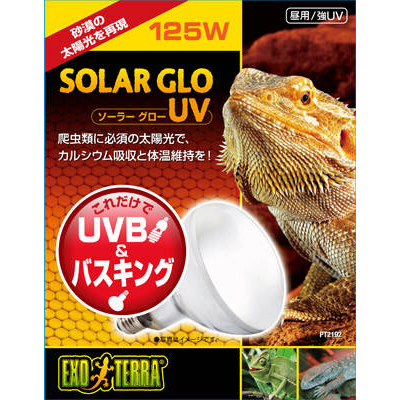 ソーラーグローＵＶ　１２５Ｗ　ＰＴ２１９２