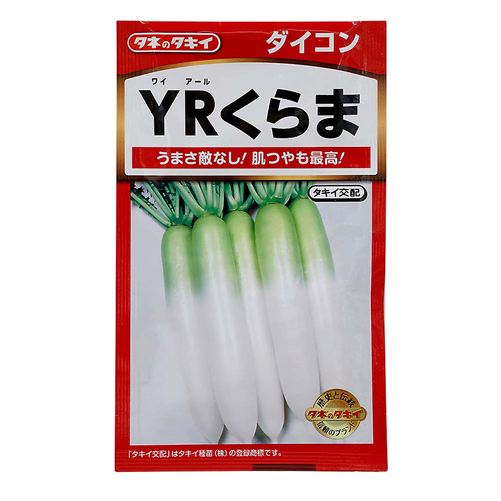YRくらま大根　秋まき