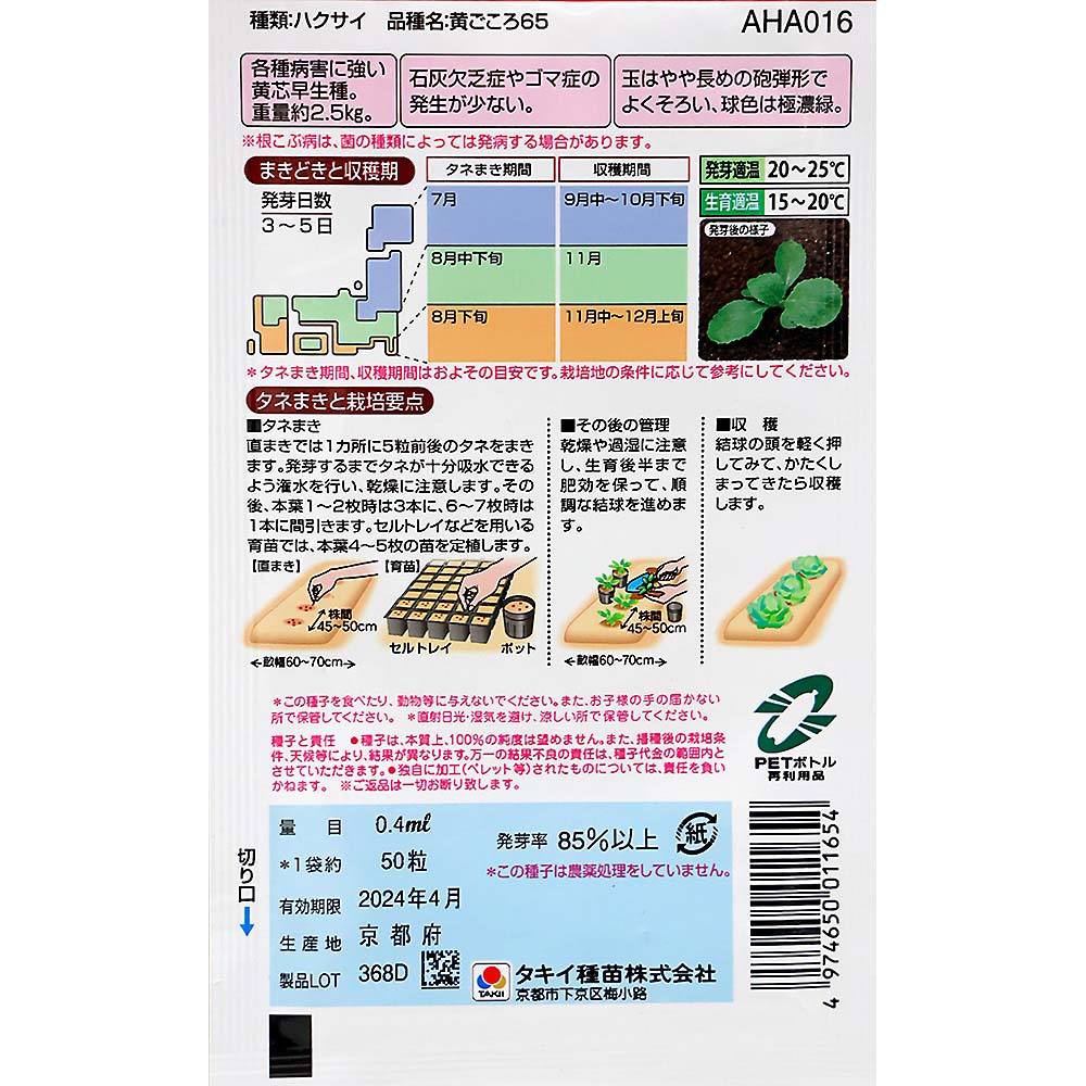 黄ごころ65白菜　秋まき
