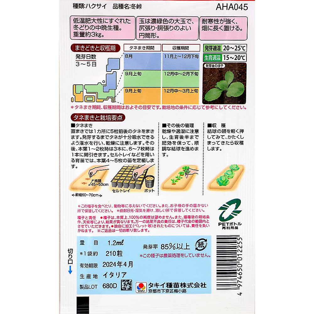 冬峠白菜　秋まき