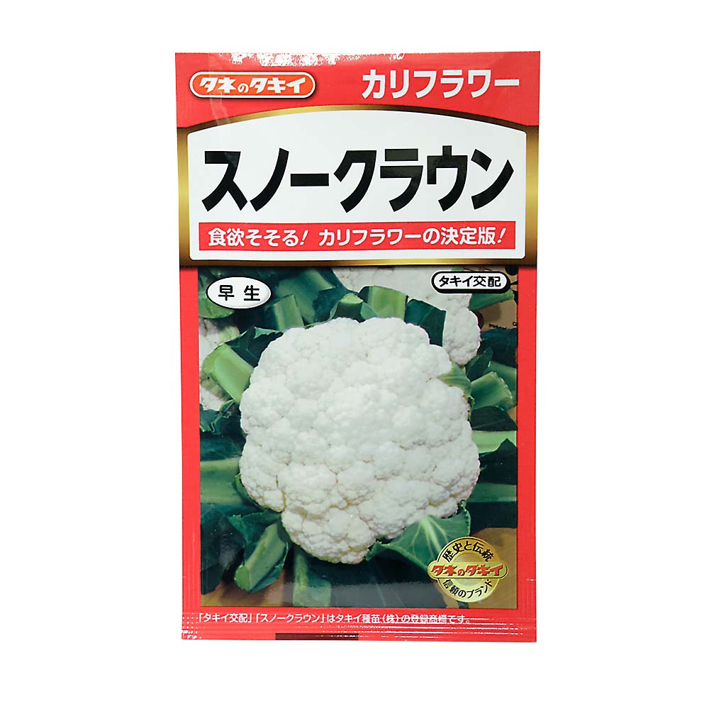 カリフラワー スノークラウン　春秋兼用