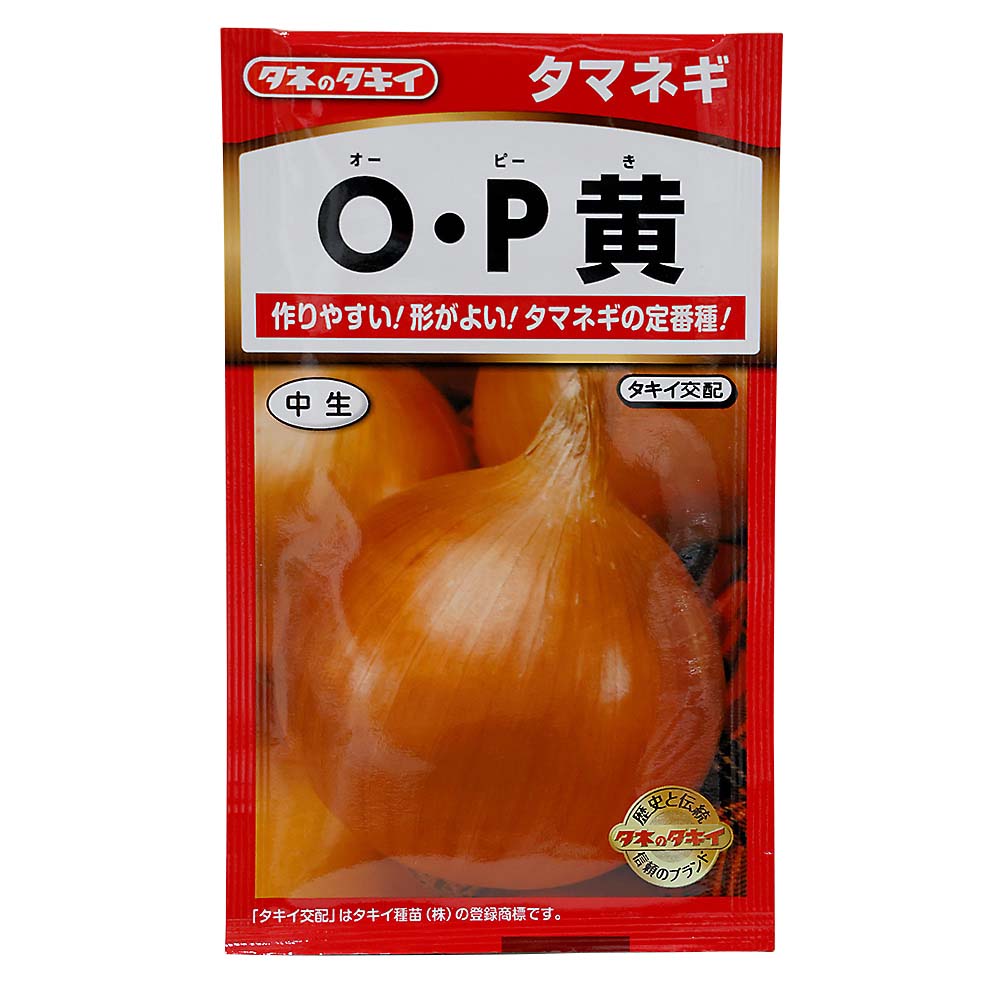 O･P黄 玉葱　ATA022