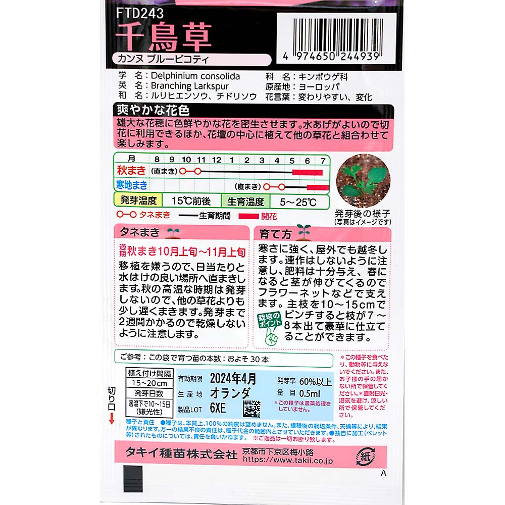 千鳥草 カンヌ ブルーピコティ　秋まき