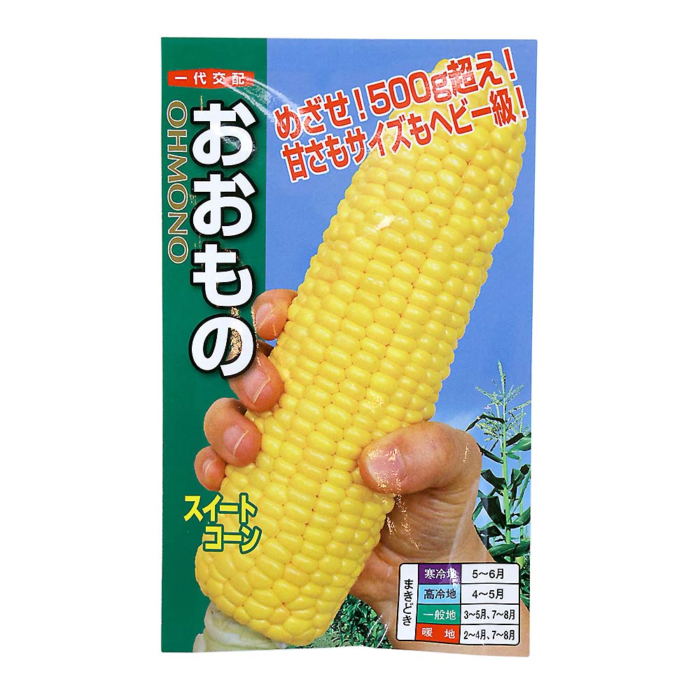 トウモロコシ　おおもの　春まき