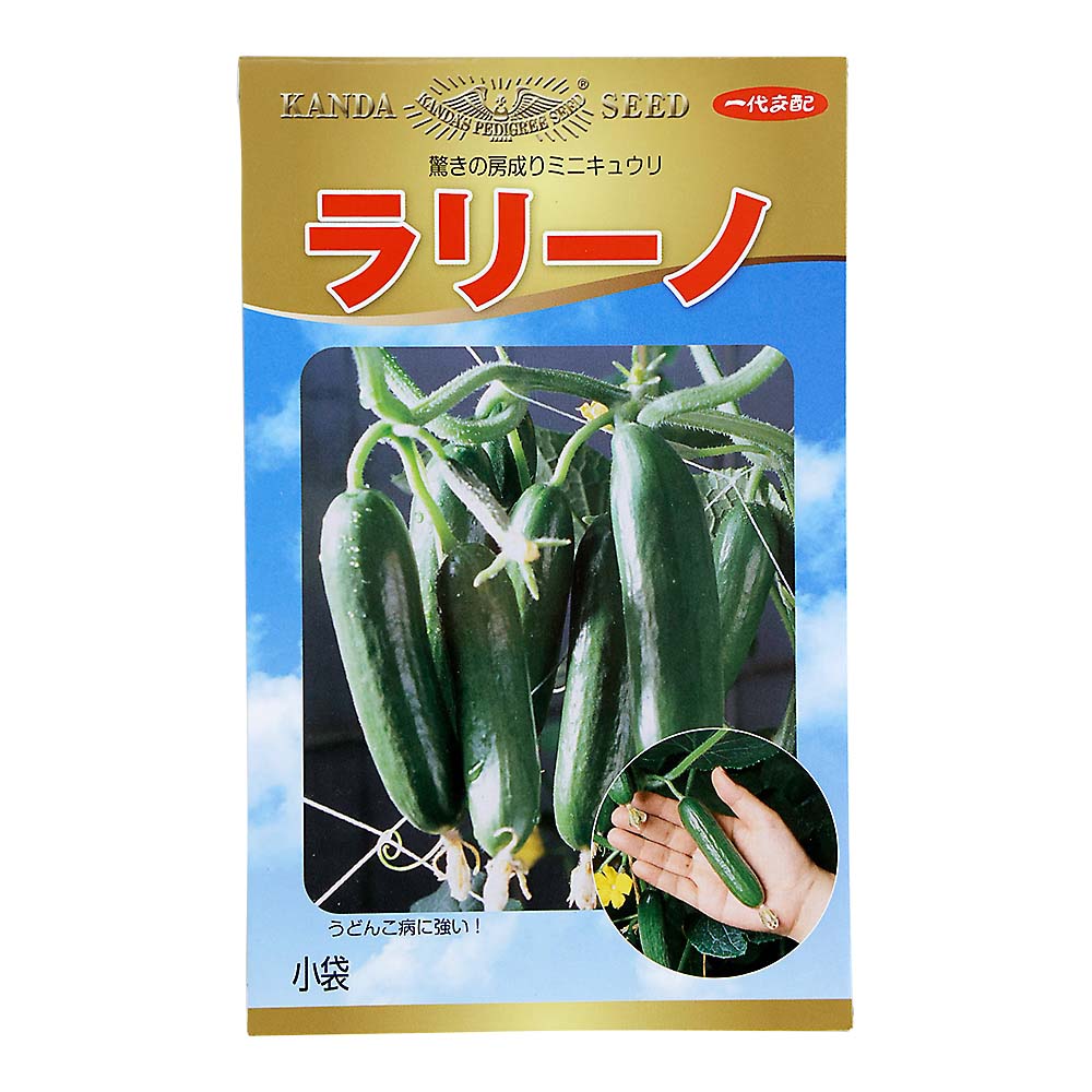 ラリーノ　春まき