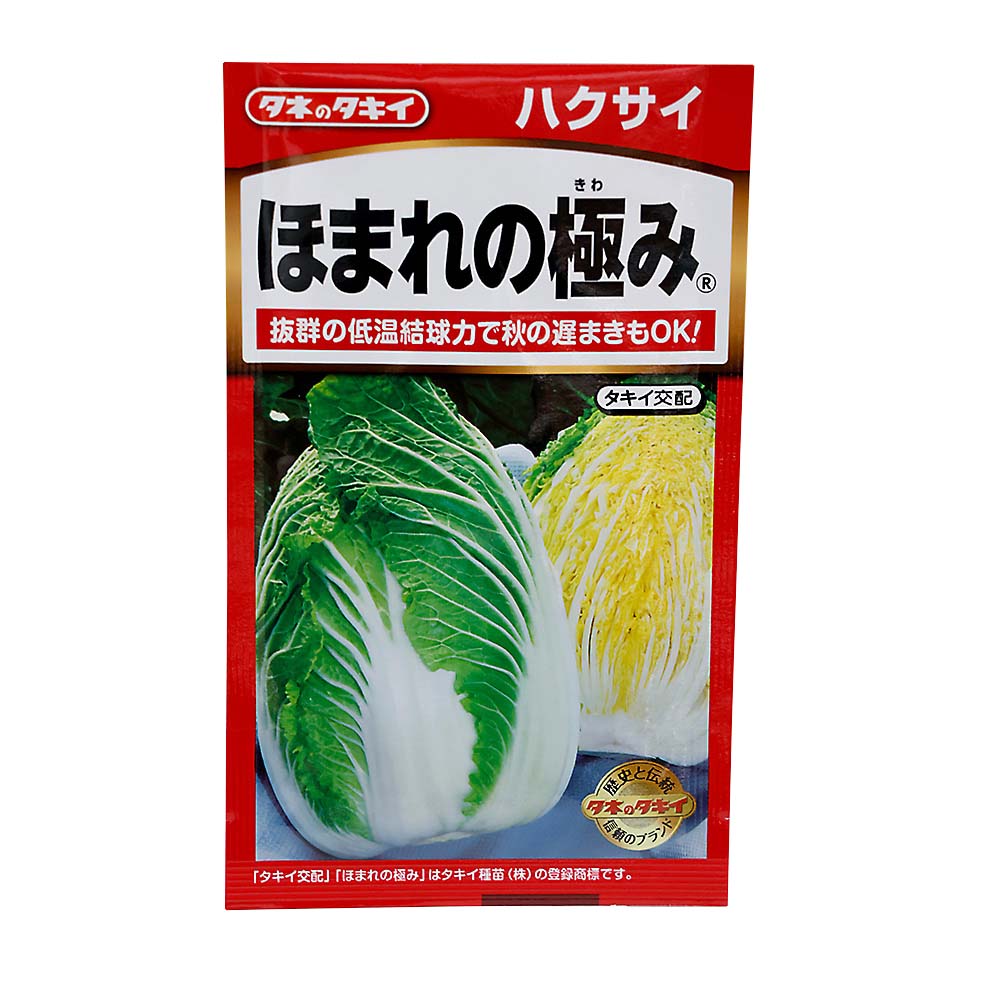 ほまれの極み白菜　秋まき