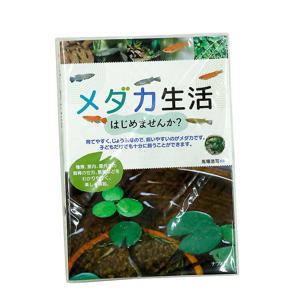 メダカ生活はじめませんか？
