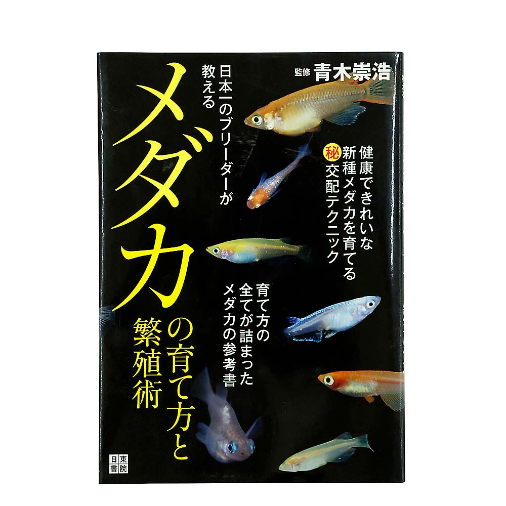 日本一ブリーダオシエルメダカ育て方繁殖