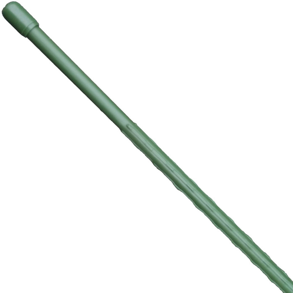 すくすく竹(グリーン)　11x1200mm