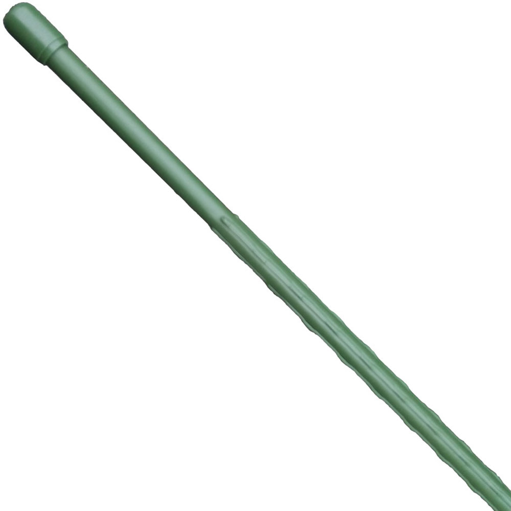 スズダケ　H　太さ元径約６．０～６．７ｍｍ　節間小　２５本　高野竹　矢竹ではありません　矯め無し　長さ約８７～９8ｃｍ すくすく竹(グリーン) 11x2100mm | ジョイフル本田 取り寄せ