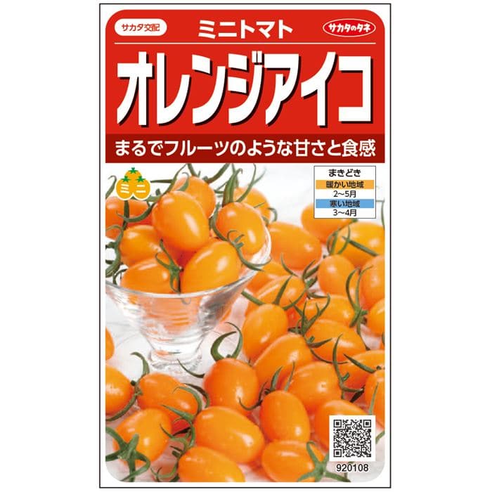 トマト＿ミニトマト＿オレンジアイコ　春まき