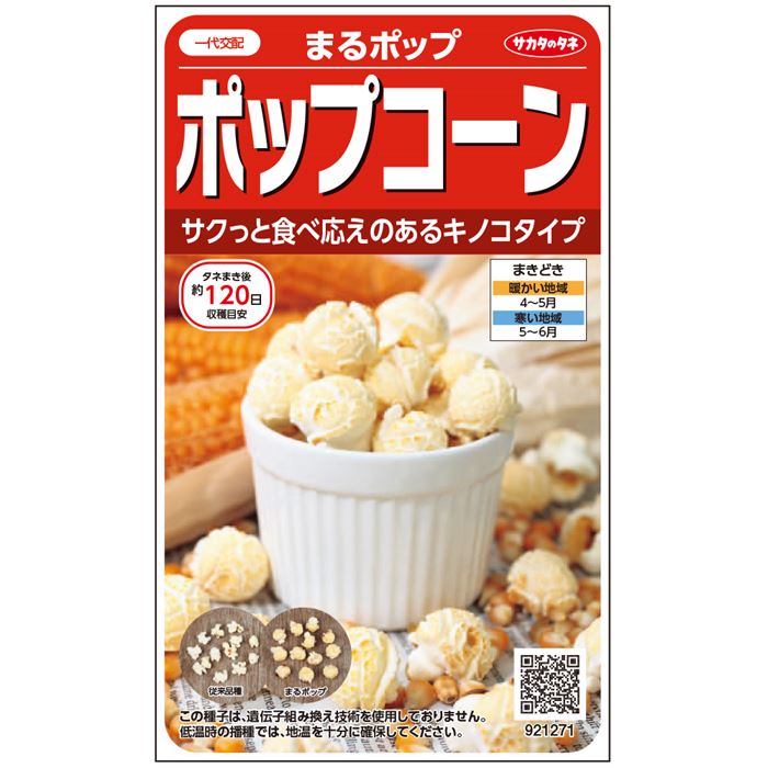 コーン＿ポップコーン＿まるポップ　春まき