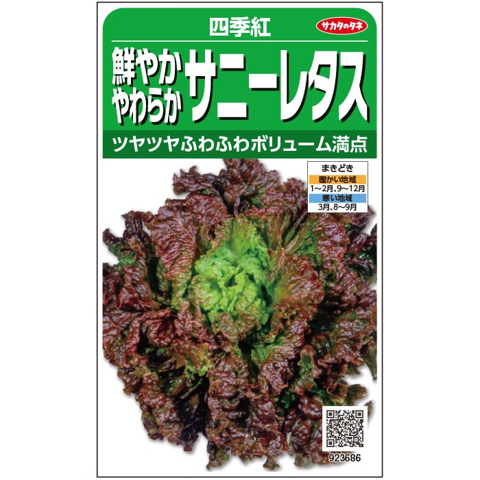 レタス＿サニーレタス＿四季紅　春秋兼用