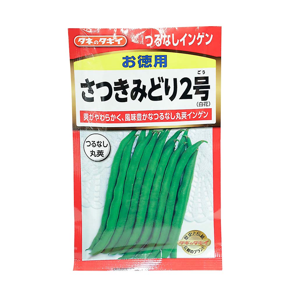 お徳用さつきみどり2号ツルナシインゲ　春まき