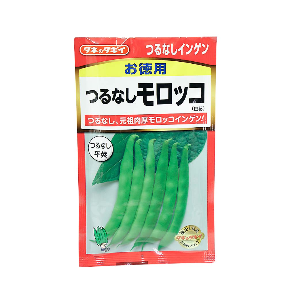 お徳用 モロッコつるなしインゲン　春まき
