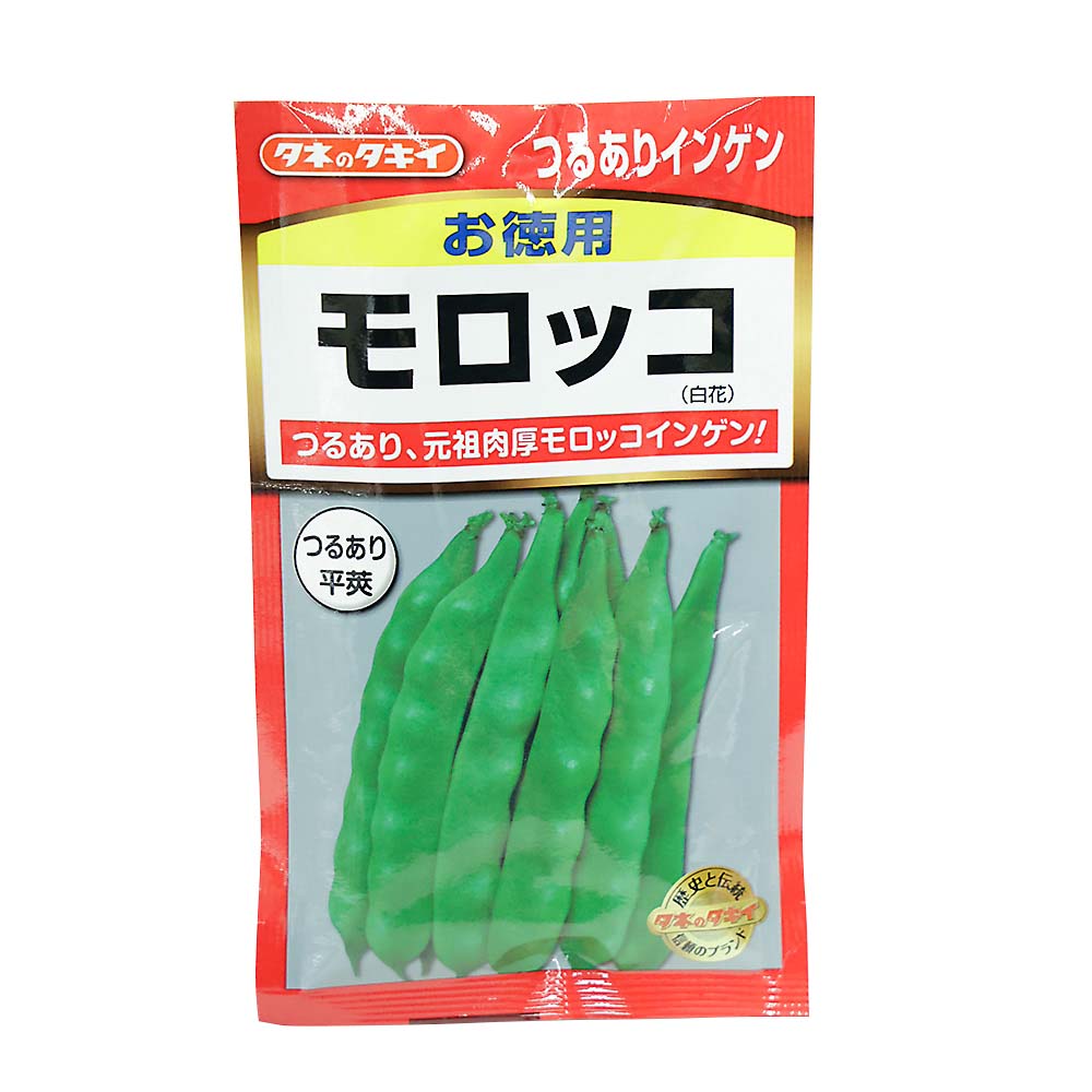 お徳用 モロッコつるありインゲン　春まき