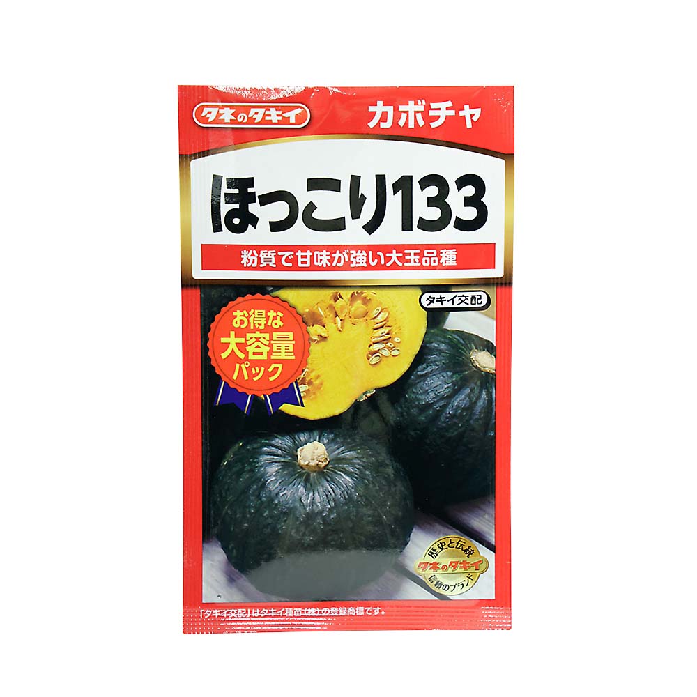ほっこり133かぼちゃ　春まき