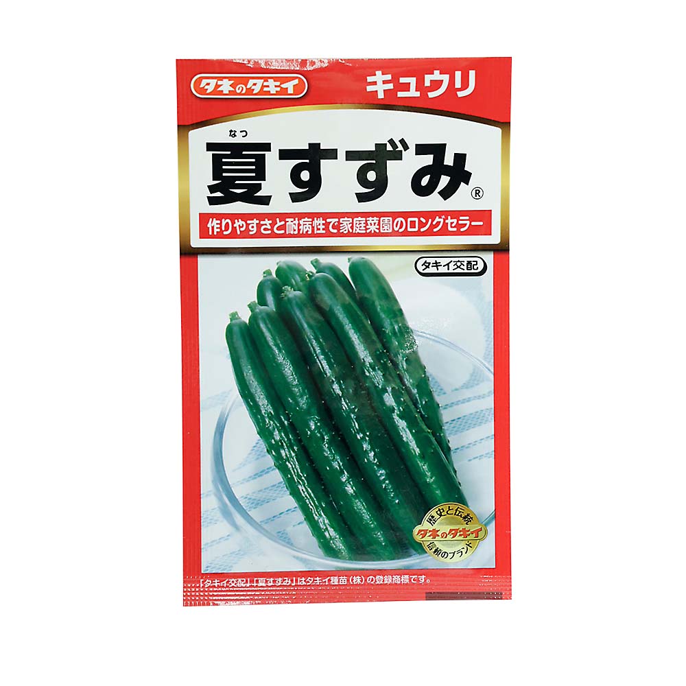 夏すずみ きゅうり　春まき