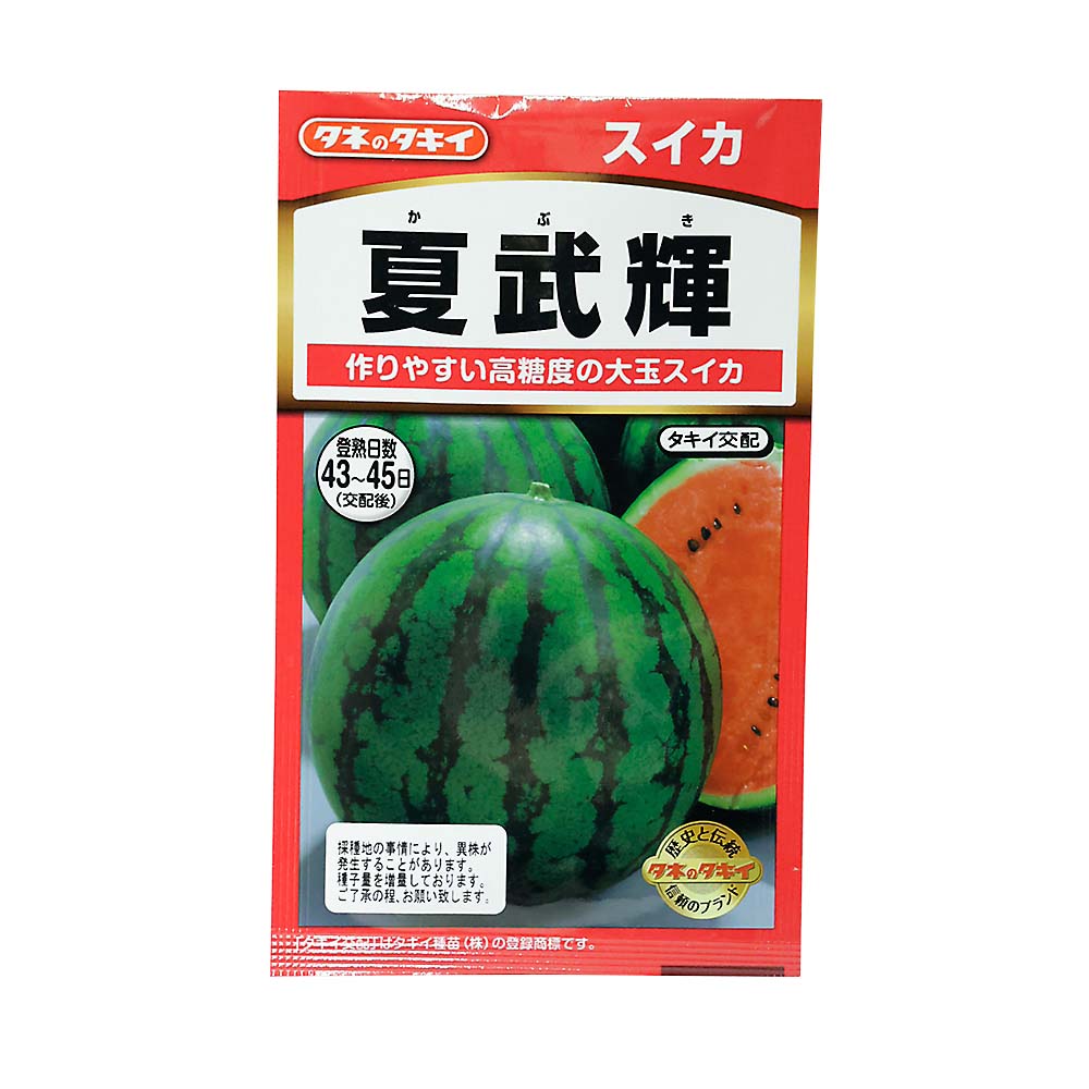 夏武輝 スイカ　春まき