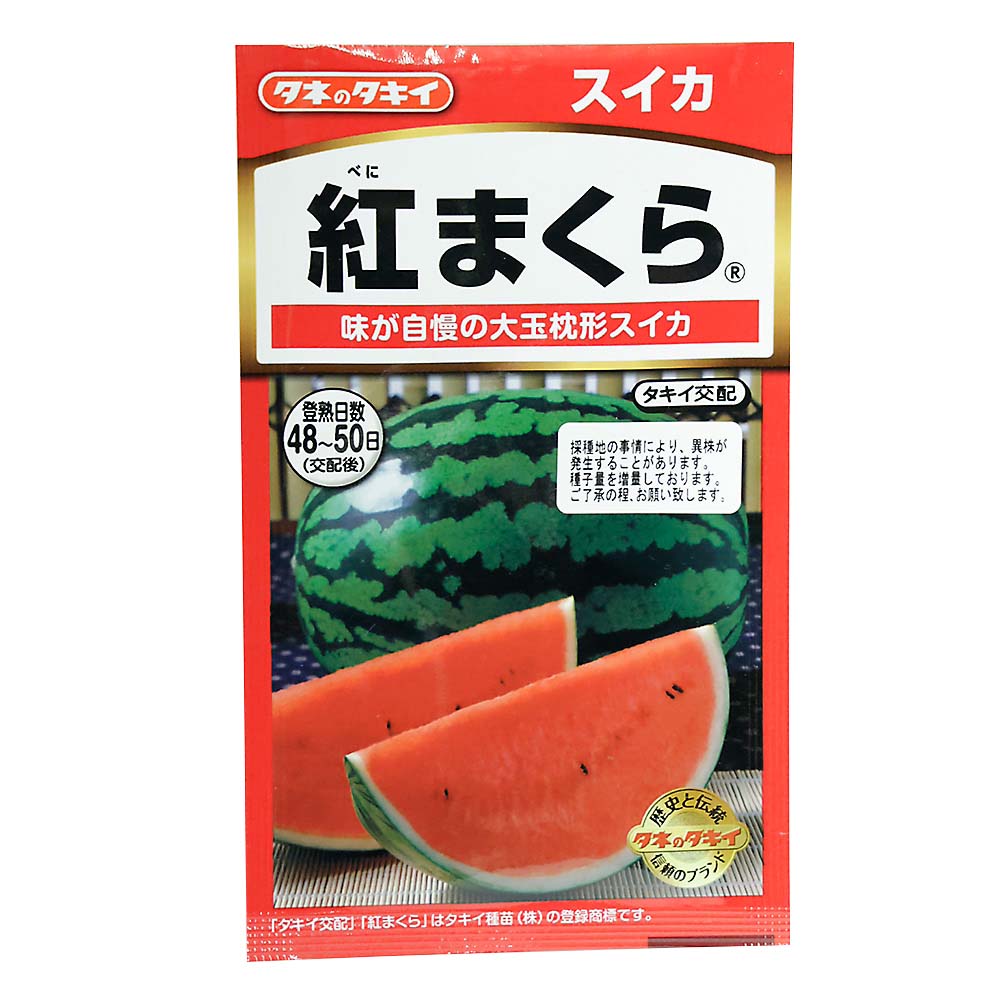 紅まくら スイカ　春まき