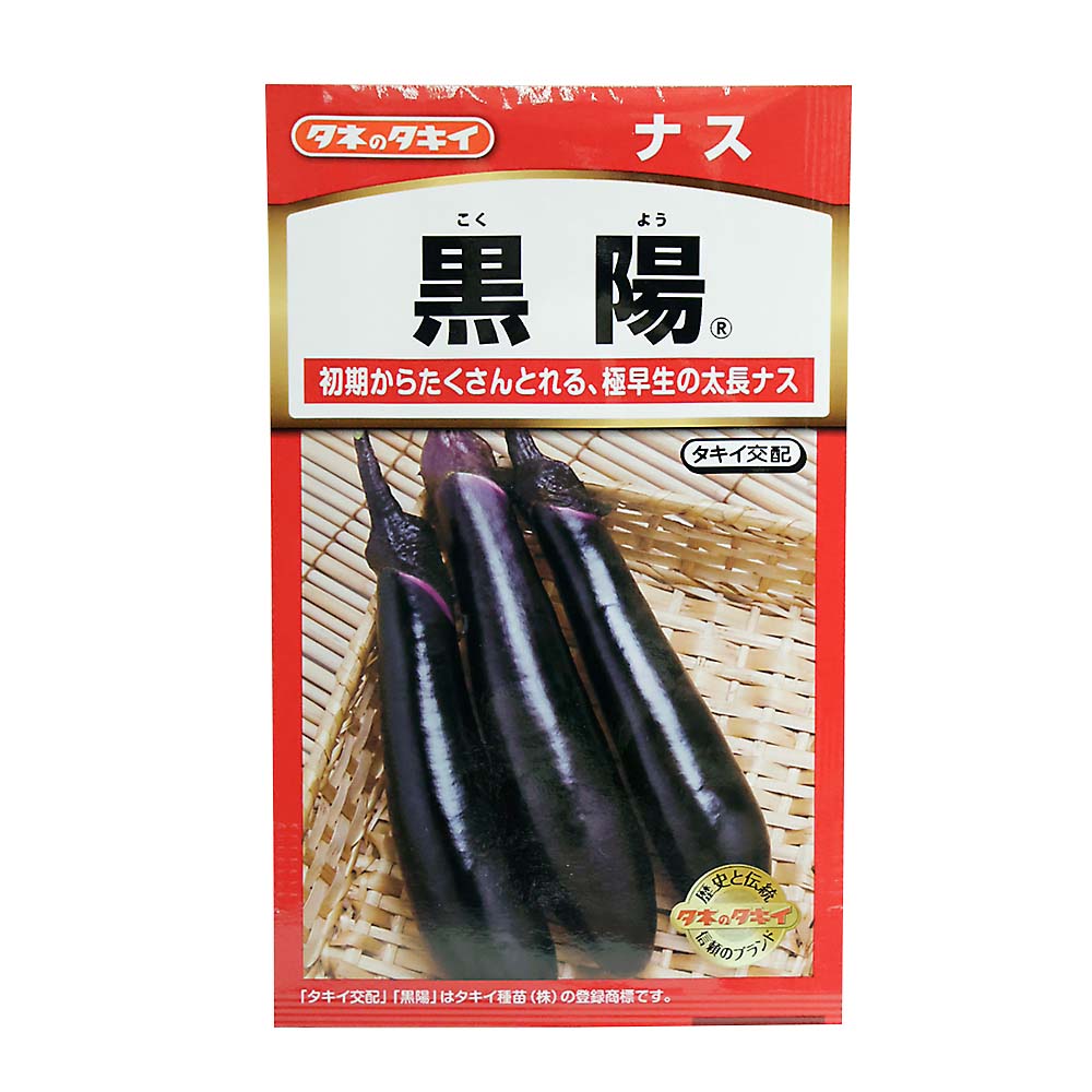 黒陽なす　春まき