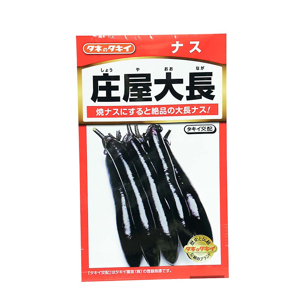 庄屋大長なす　春まき