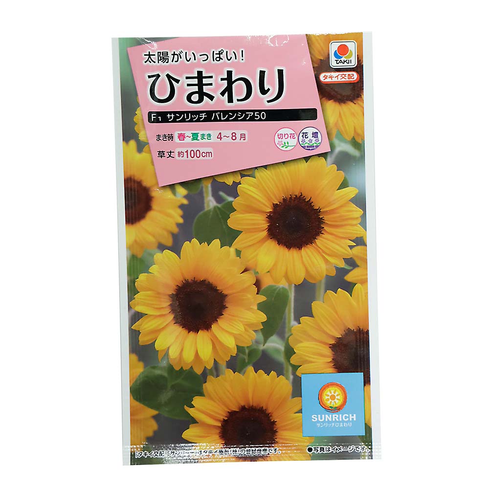 ヒマワリ サンリッチ バレンシア50　春まき